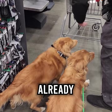 Meeting Our Fans at Lowe’s