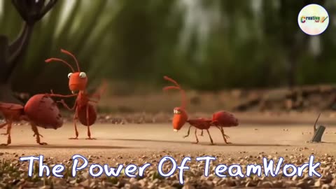 Teamwork & Leadership