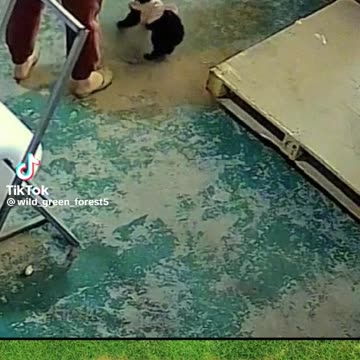 Cats 🐈 loyalty. 👍 . Don’t touch my friend!! 👍😂