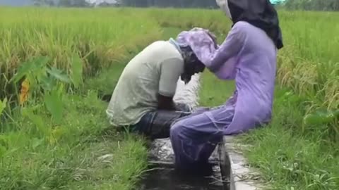 Funny video