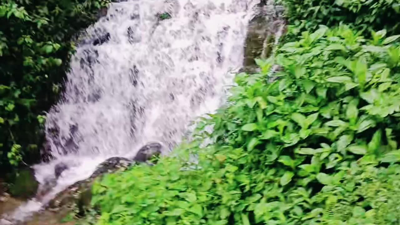 darjiling road side waterfall view 😍😍#travelvlog #waterfall #biketrip #shorts #youtubeshorts #hills