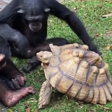 Sharing equals caring 😍😍😍