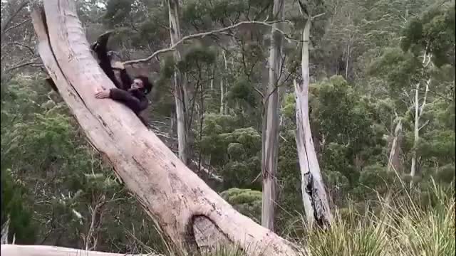 funny fails videoss Which🎥 clip was your favorite?🤣🤣🤣