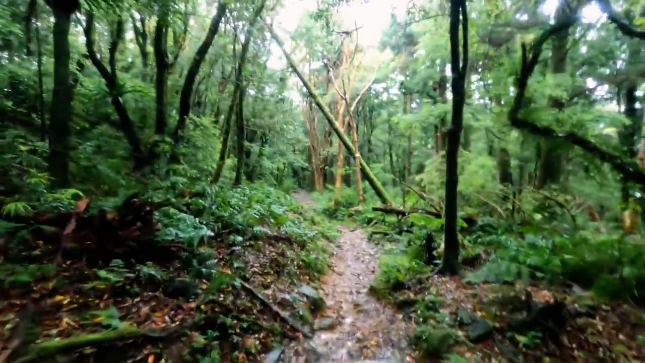Missing multi-millionaire found dead in Taiwan mountains, what went wrong? (Reward 1,000,000 NT$)
