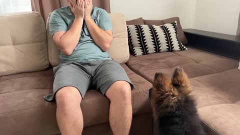 German Shepherd Puppy Reaction to Me Crying [Cuteness Overload]