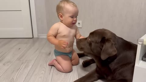 baby with puppy