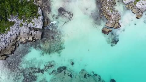 Swimming in Crystal Water | Drone Aerial View