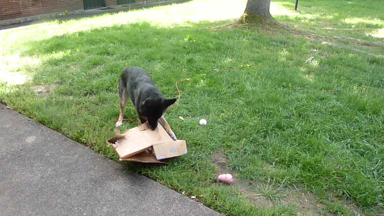 Fiona unwrapping her box