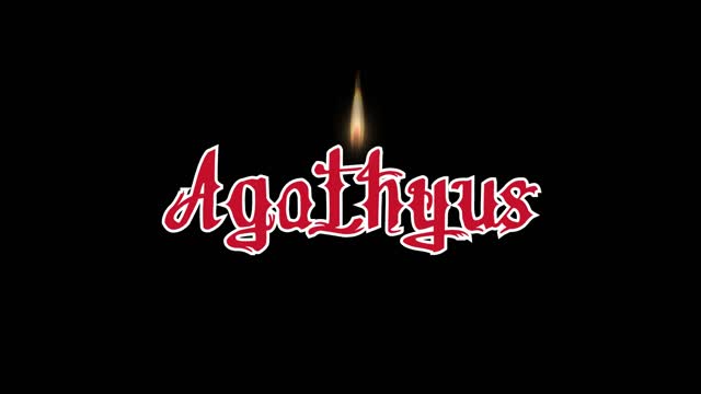 Agathyus – Nyár éjei (dalszöveges audió)
