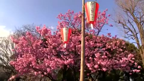 散歩