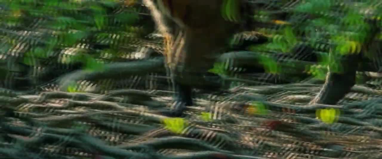 Bengal Tiger (King of The Indian Subcontinent Forest)