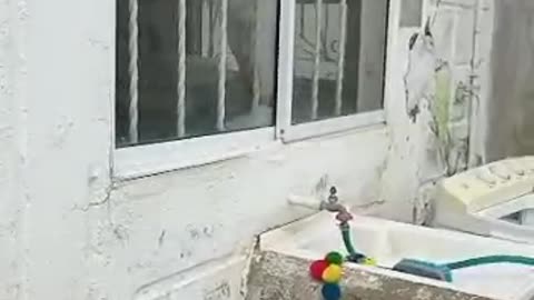 Deterioro de vivienda