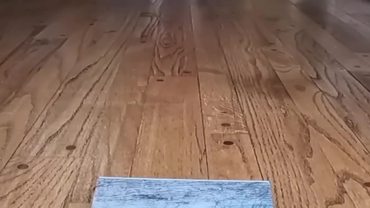Satisfying video😮😮