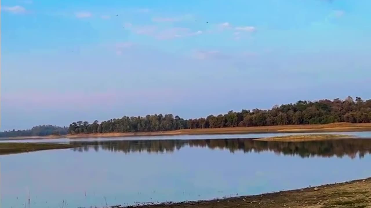 Wildlife & Funs