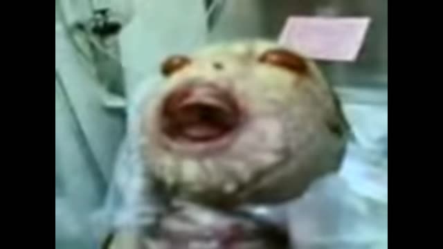 Reptilian Infant