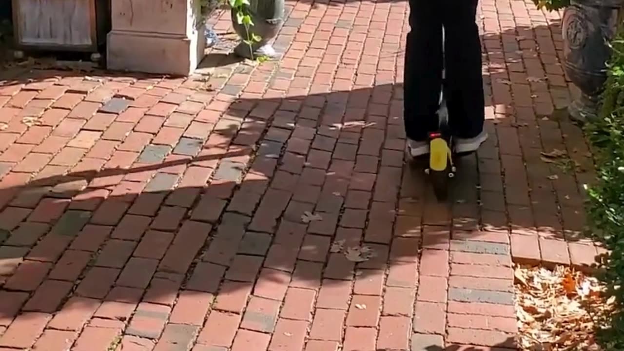 The End 😂😂😂 #viral #shorts #reels #funny #fails