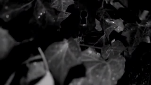 Metallica - The Unforgiven (Official Music Video)
