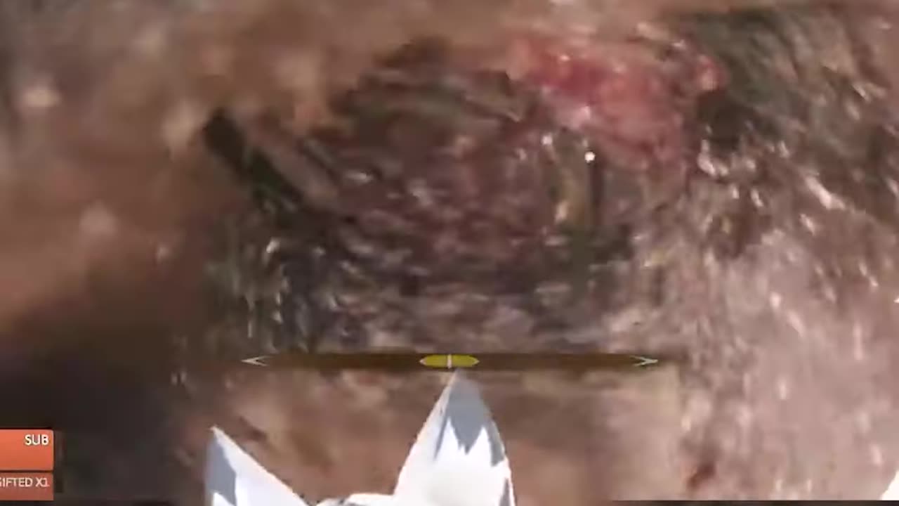 Vtuber finds John Cena in Sekiro