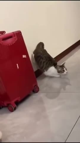 KIDS IN FRONT OF MOM 😂