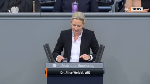 Dr. Alice Weidel Rede vom 23.11.2022 - Bundeskanzleramt und Unabhängiger Kontrollrat