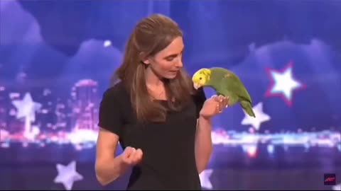 Best talking parrot