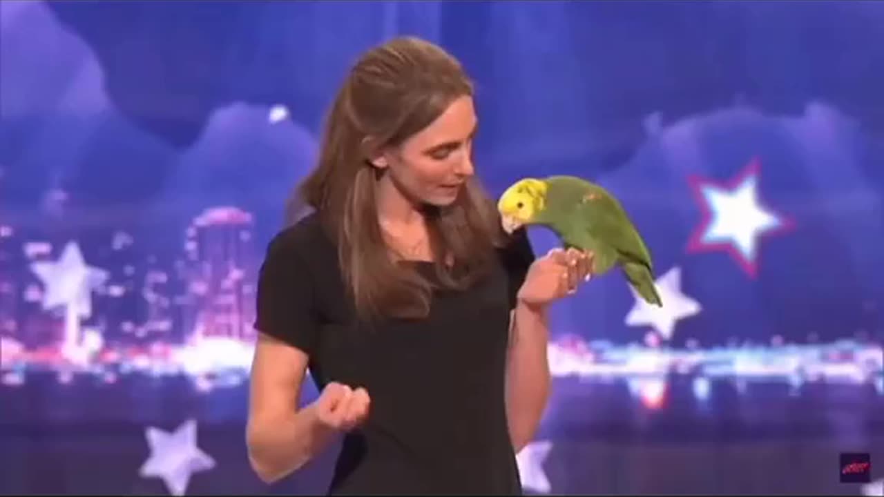 Best talking parrot