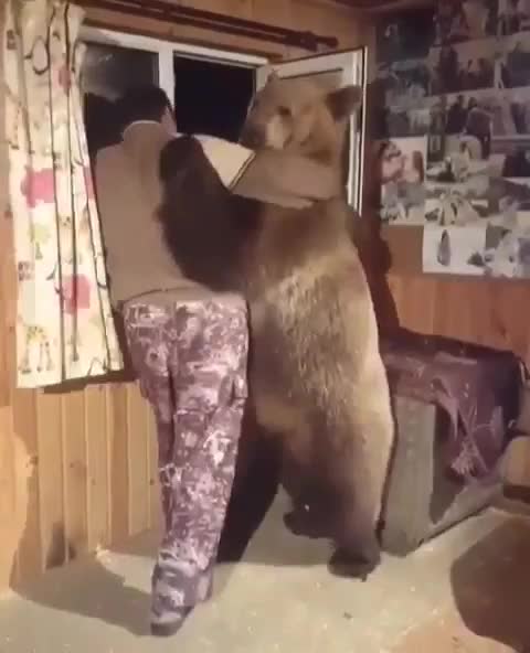 Need a Bear Hug???