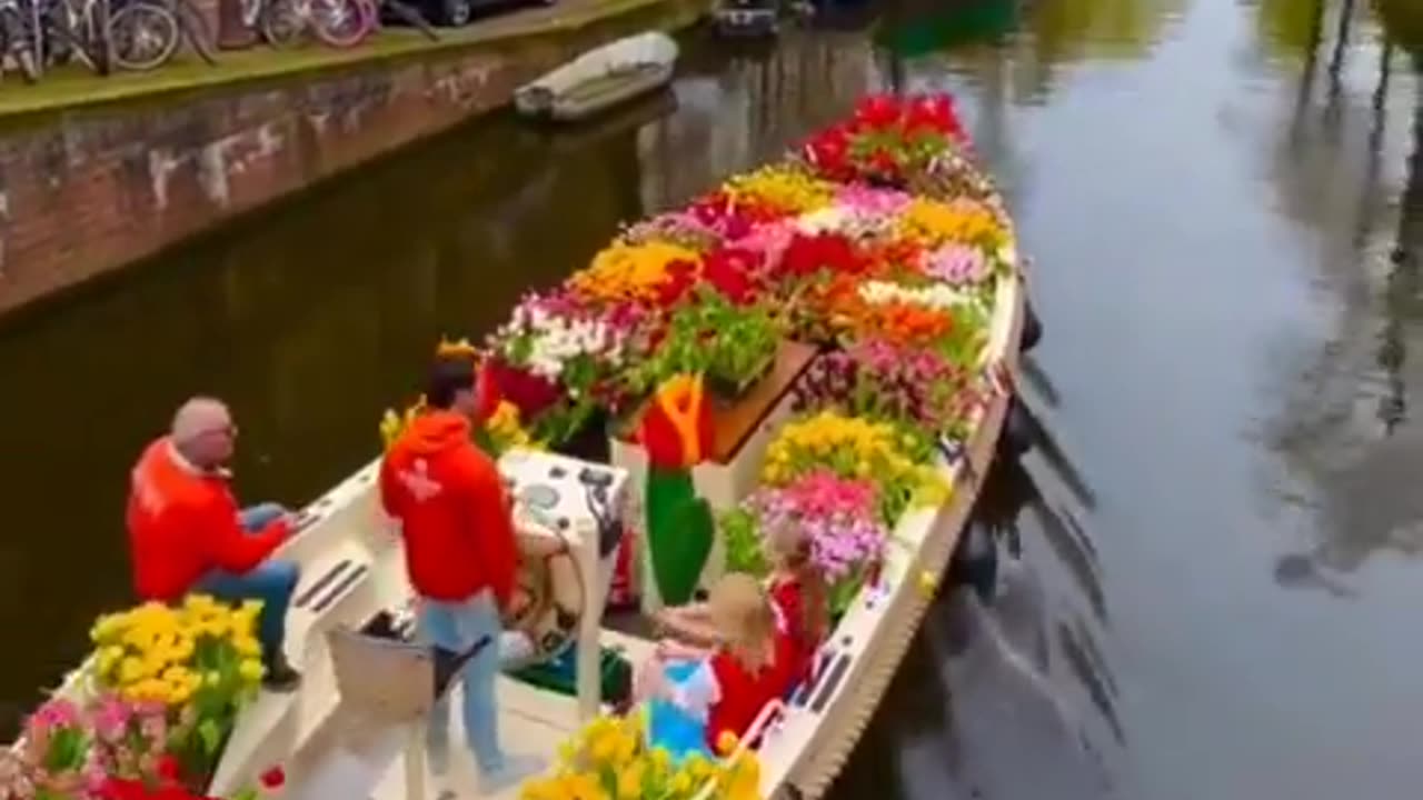 Enjoy a lively boat ride through the scenic canals of Amsterdam