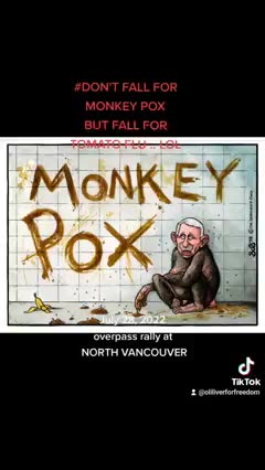 North Vancouver Rally overpass rally