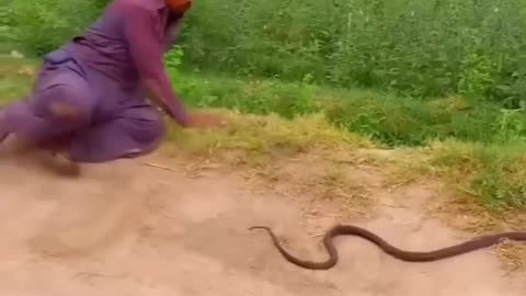 Man and snake