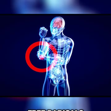 Cholesterol_ The Anti-inflammatory Secret Doctors Don't Tell You