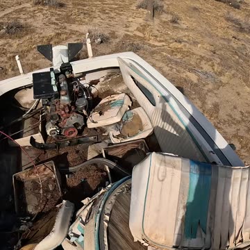 Genius Mushrooms Health Supplement (Week 1): Day 1