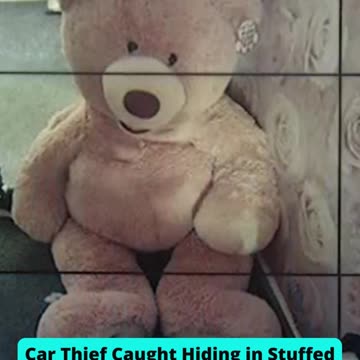 Top 10 of the Most Bizarre Crimes of 2022 Part 1