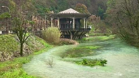 Beautiful Stream Water Moving