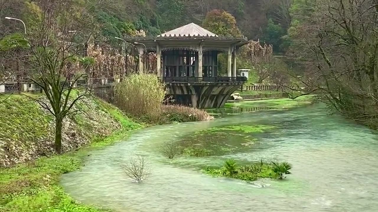 Beautiful Stream Water Moving