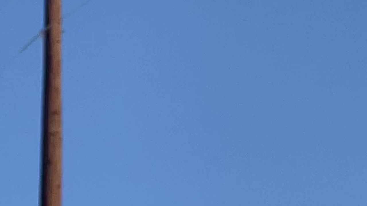 Large bird sitting on a utility line while another flies in the background