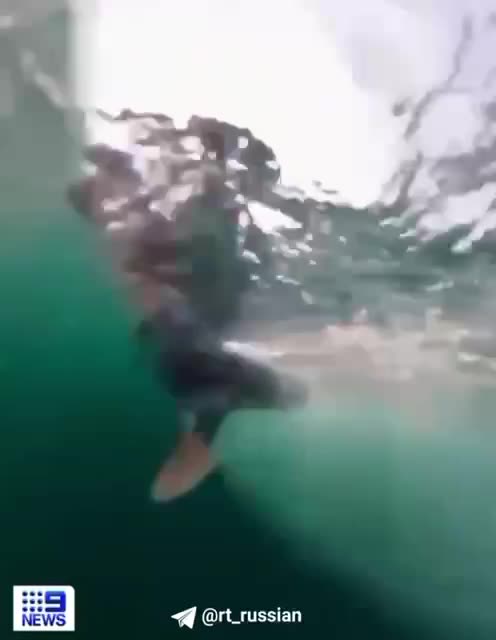 Aussie windsurfer’s “whale” of a time.