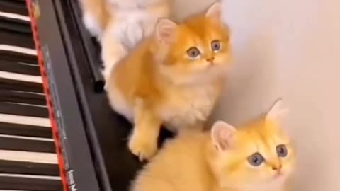 Cute and lovely 😍
