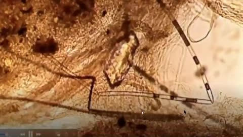 Spiderwebs from the Sky analyzed and guess what!?!
