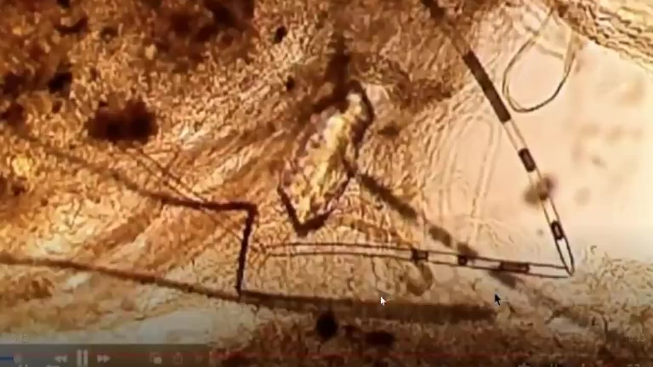 Spiderwebs from the Sky analyzed and guess what!?!