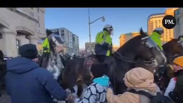 Video of Bike Not Thrown @ Police Horse in Ottawa