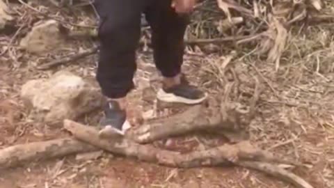 Funny videos