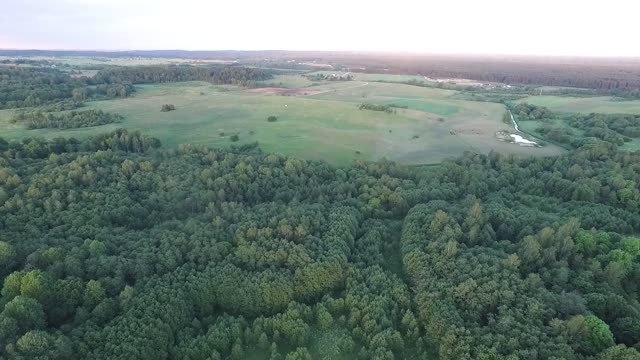 Flight Over Landscape Backwards