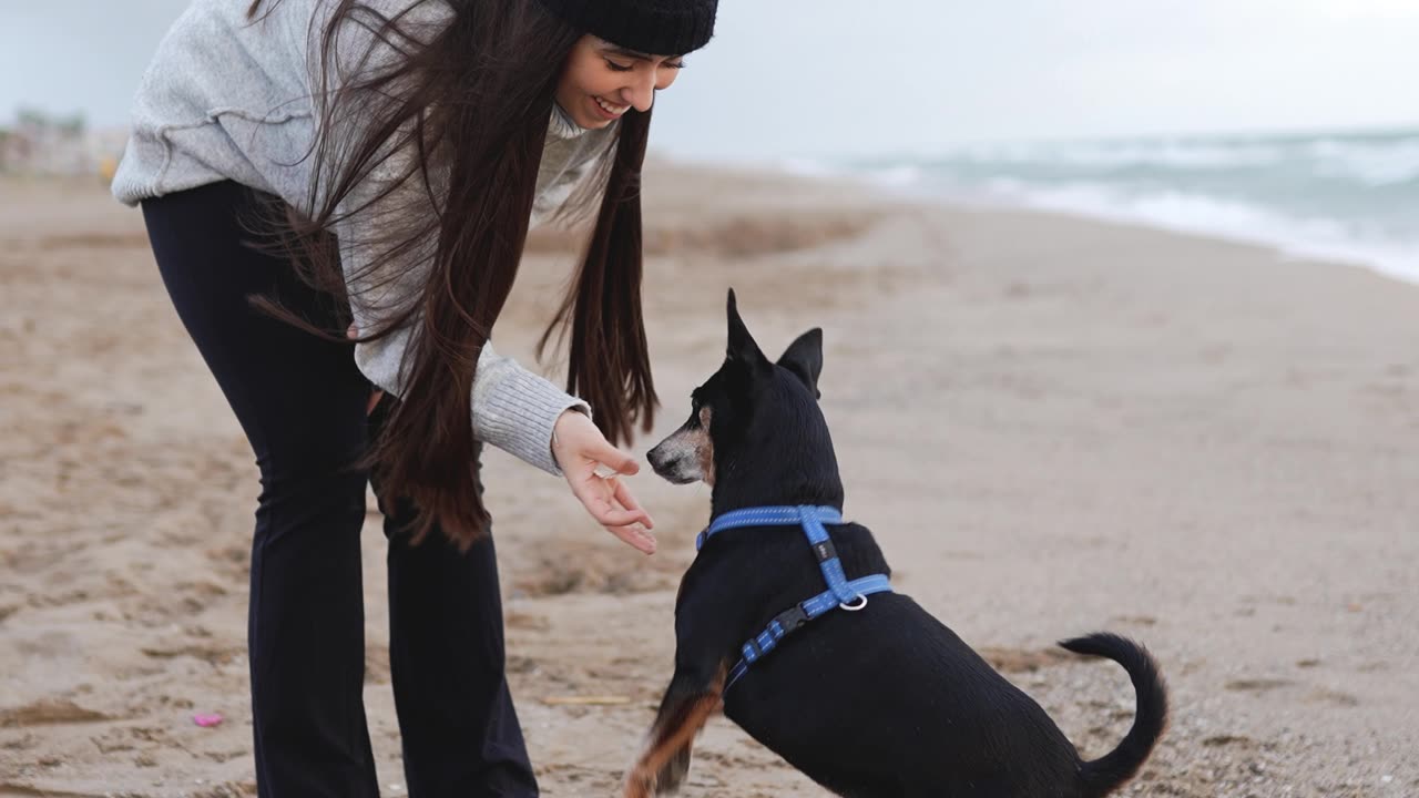 Woman Playing with Her Dog