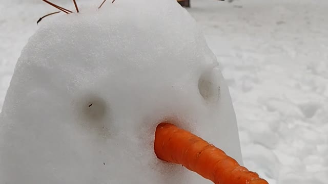 Troodos Snow January 2023, Cyprus Snowman