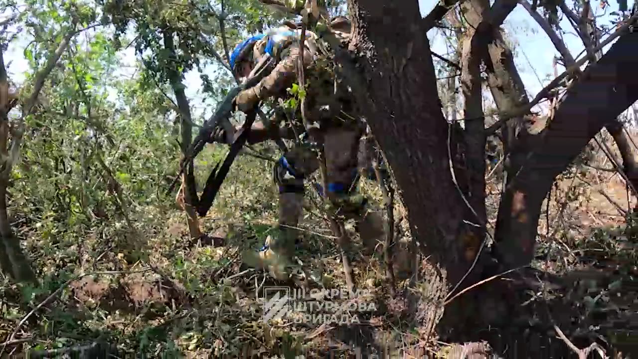 Ukrainian Ejecting Russians from a Forest Strip Near Bakhmut