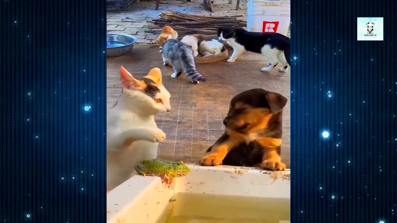 New Funny Videos 2024 😍 Funniest Cats & Dogs Videos🐶😹 Part 1