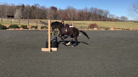 Marshall free lunge at 3