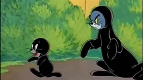 Tom & Jerry cartoon