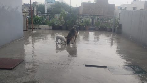 Mazza Barsat ka
